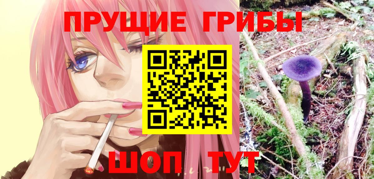 Псилоцибиновые грибы Psilocybe Валуйки