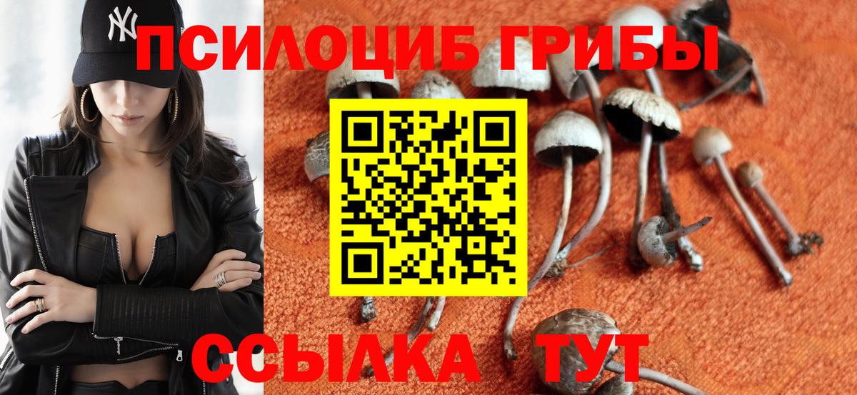 Галлюциногенные грибы прущие грибы  Вход с VPN  Псилоцибиновые грибы мухоморы  Валуйки 