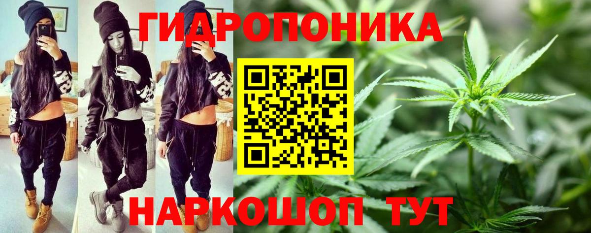 Конопля MAZAR Валуйки